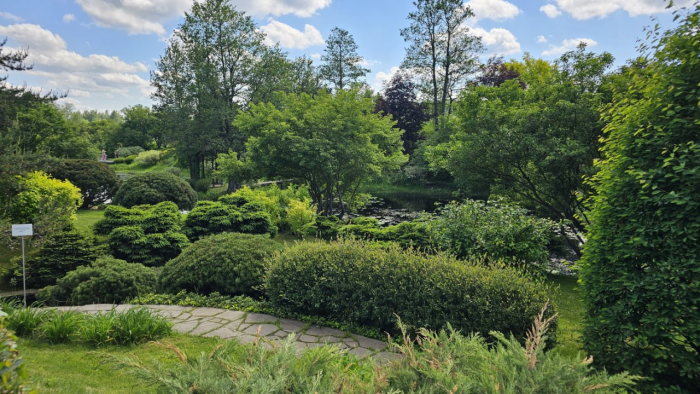 Ландшафтный дизайн участка: как создать и реализовать проект и при этом избежать ошибок?