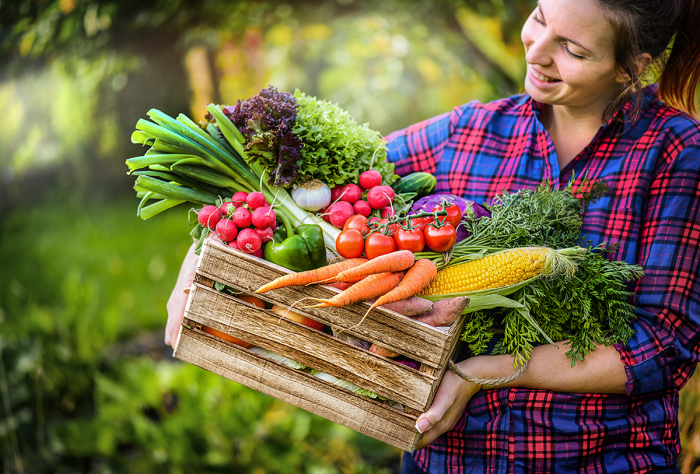 Какой урожай можно собрать в июле? Овощи, фрукты и ягоды, которые созревают в огороде в середине лета