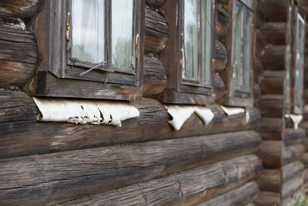 Почему сруб моего прадеда продержался несколько веков на голых камнях, а современные мембраны рассыпаются в пыль