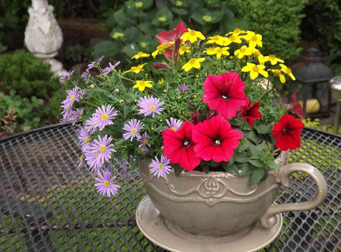 Клумба для дачи: как своими руками создать цветочный оазис (60 фото)