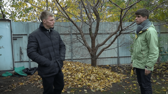 Что делать если дерево слишком высокое