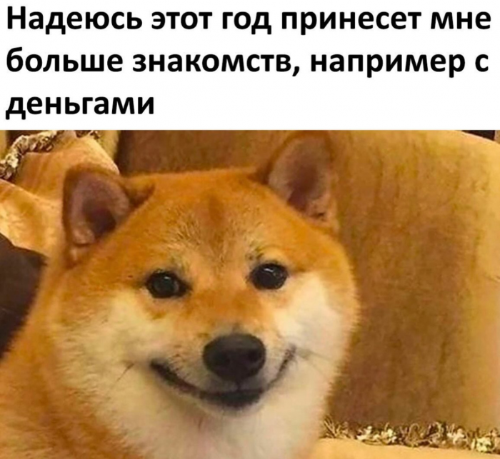 Свежие мемы, юмор за день