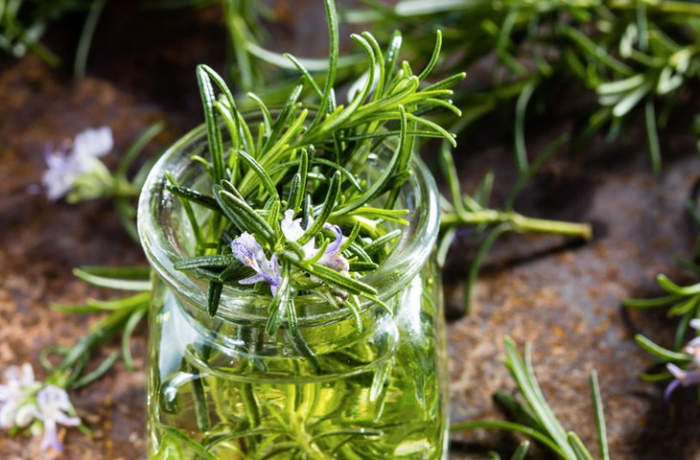 Скрытая польза розмарина