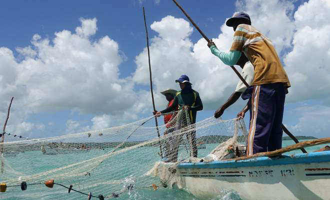 170 лет назад с корабля на остров сбежали 2 кошки, а когда люди вернулись, увидели, что кроме них на суше никого нет