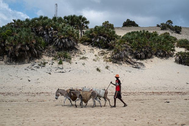 «Во сколько в Найроби обычно начинают убивать?» Россиянин в одиночку поехал в одну из самых опасных стран. Что его там поразило?