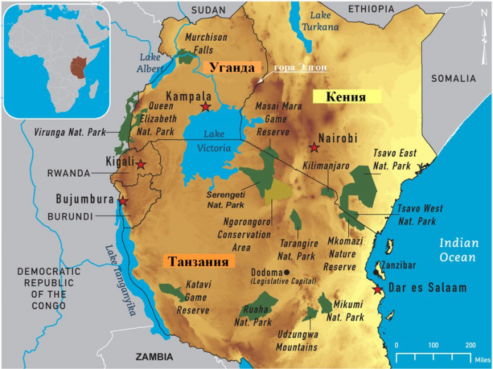 Работники нацпарка в Африке заметили, что слоны уходят ночью в пещеру и решили за ними проследить