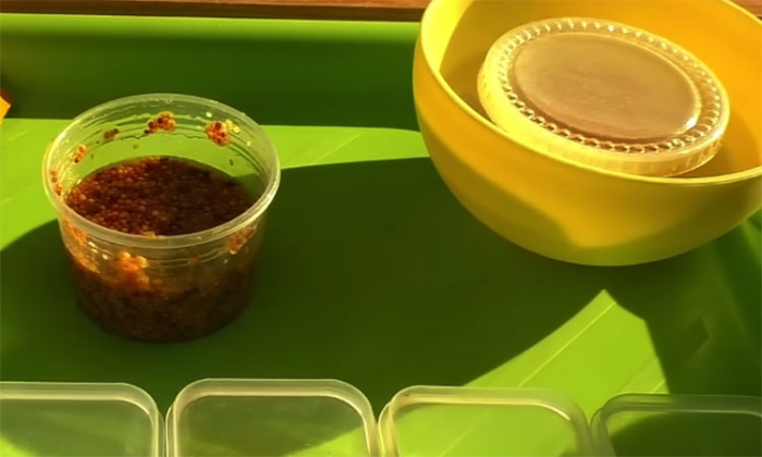 Горчичный соус без яиц: идеальная замена майонезу, сделает вкуснее даже хлеб