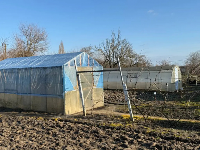 Высыпал миску этой крупы на сугроб в феврале — соседи крутили у виска, а в мае пришли за рецептом: земля теперь рыхлее облака