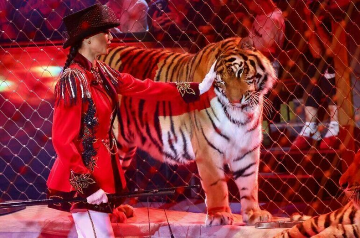 Зоопарки и цирки будут работать по-прежнему еще шесть лет