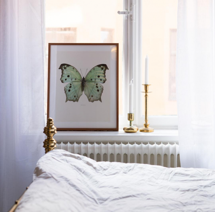 Бабочки для декора (75 фото)