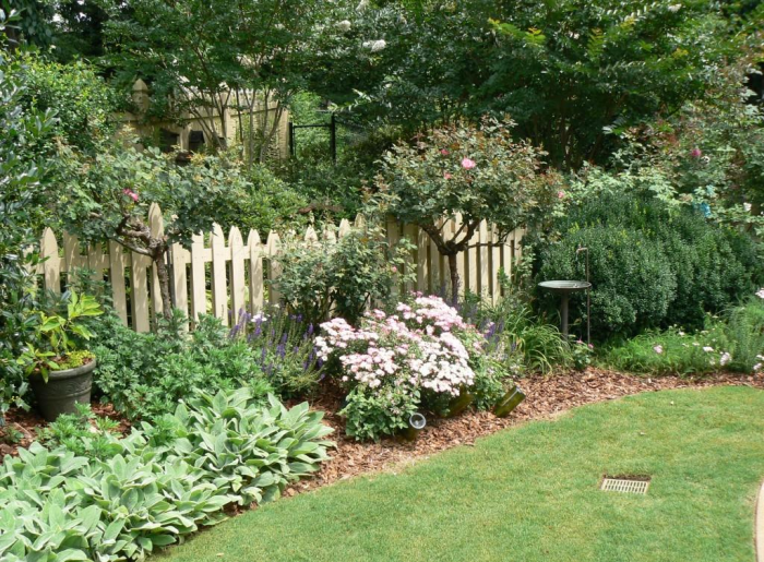 Неприхотливые декоративные кустарники в ландшафтном дизайне: фото и описания (56 фото)