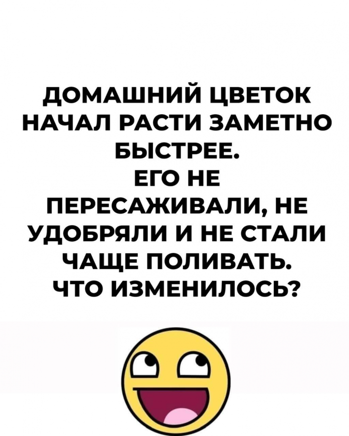 15 логических загадок: где подвох?
