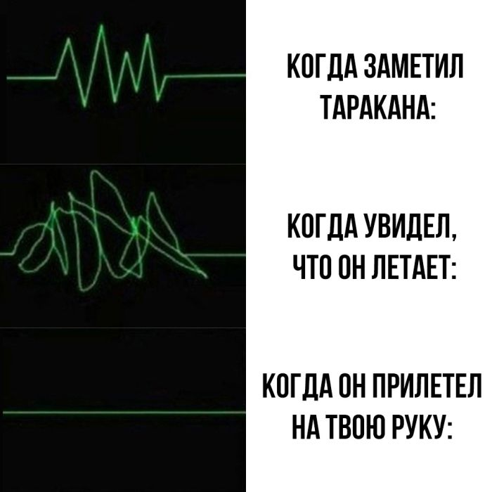 Юмор для тех, кто уже повзрослел и понял, что выходные — это миф