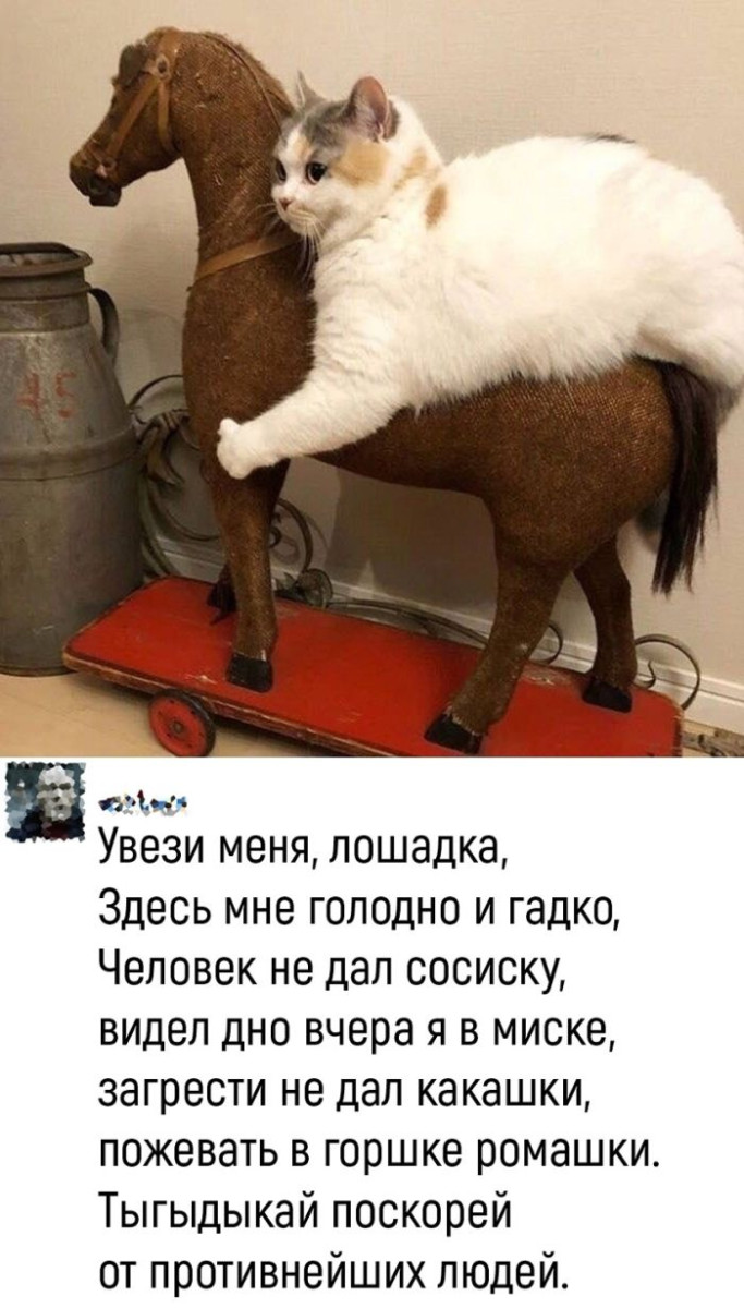 Интернет мемы в понедельник и ретроградный Меркурий