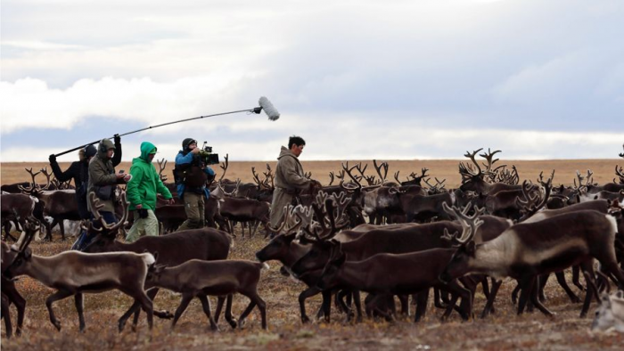 Владимир Головнев, режиссер фильма «Цинга»: «Тундра совсем по-другому дышит на большом экране»