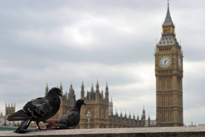 Британия установила контакт с оппозиционером Мачадо после задержания Мадуро