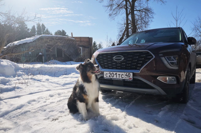Народный кроссовер за три миллиона рублей. Чем радует и раздражает Solaris HC?