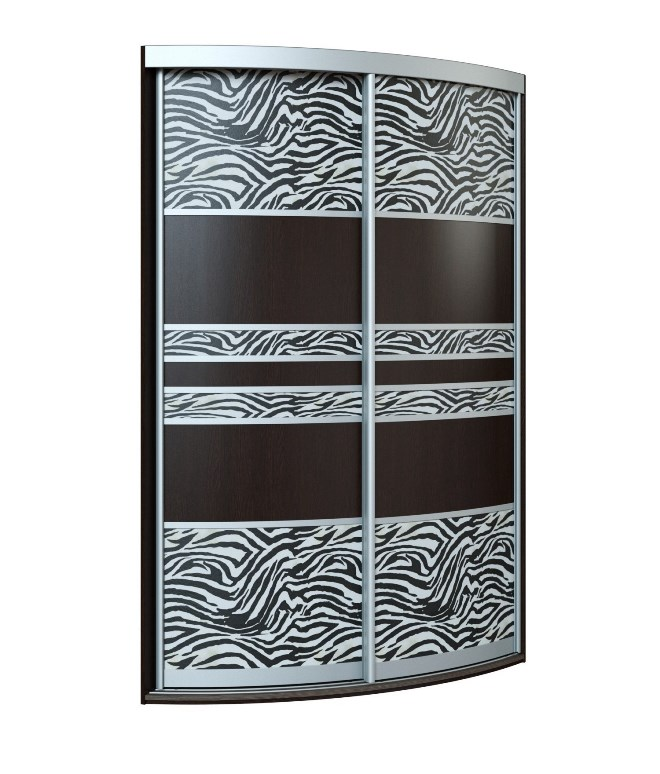 Шкаф-купе в интерьере: разновидности и особенности дизайна (104 фото)