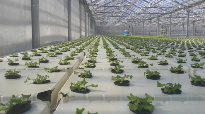 "Если война затянется": Индия срочно потребовались русские удобрения