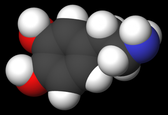 Как связаны тремор покоя при болезни Паркинсона и дефицит дофамина
