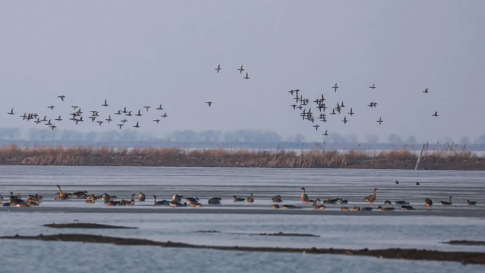 Пять верных признаков: как понять, что весна действительно пришла