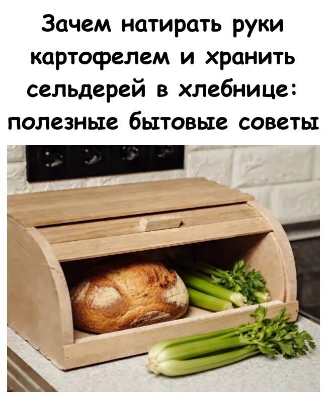 Зачем натирать руки картофелем и хранить сельдерей в хлебнице: полезные бытовые советы