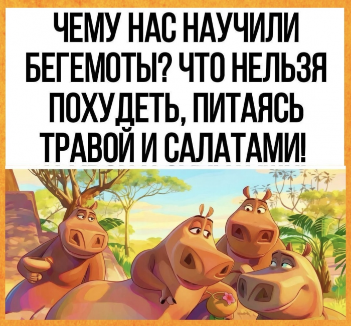 Шутки, юмор, смешные истории для позитива (наш любимый пирог «весенний» с большим количеством зелени)