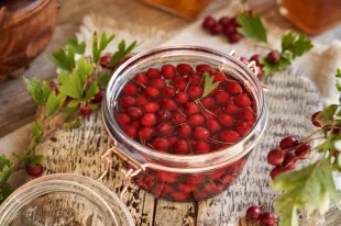 Боярышник высокой кухни. Топ-3 заготовки, которые удивят гурманов