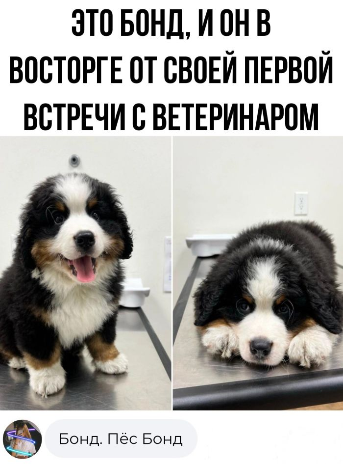 Колкие комментарии, которые как острый соус приправляют сам пост