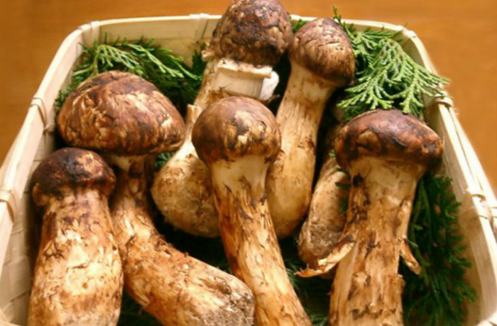 Это самая дорогая еда в мире