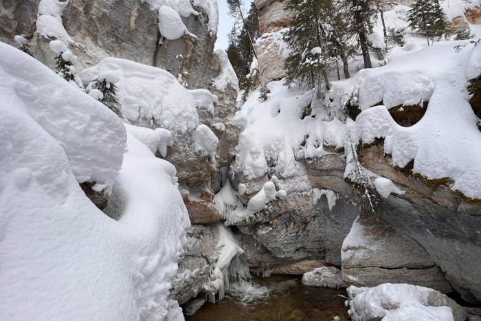 5 причин посетить Архангельскую область
