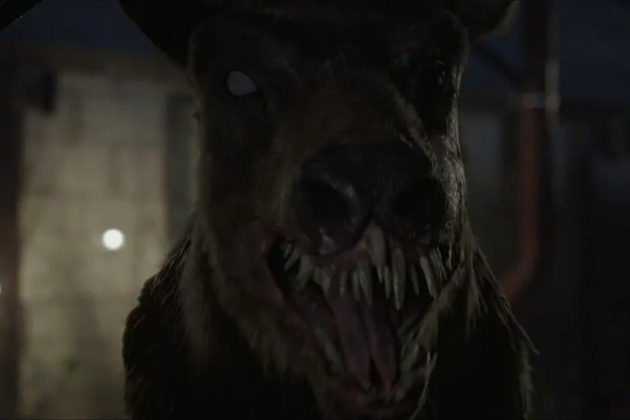 Лучшие фильмы ужасов 2025 года: топ-20 ужастиков на любой вкус