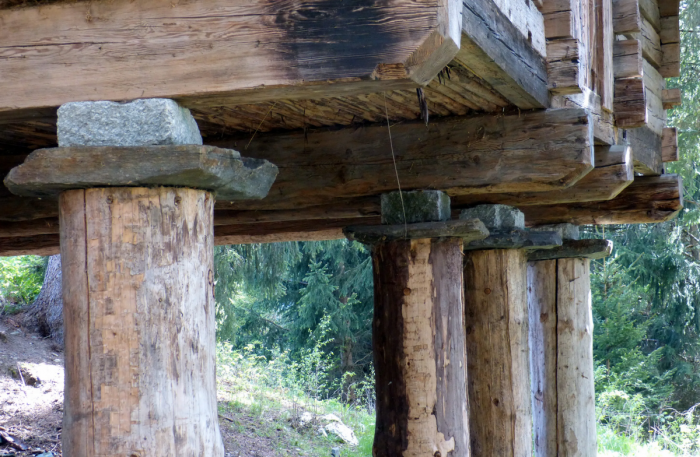 Почему сруб моего прадеда продержался несколько веков на голых камнях, а современные мембраны рассыпаются в пыль