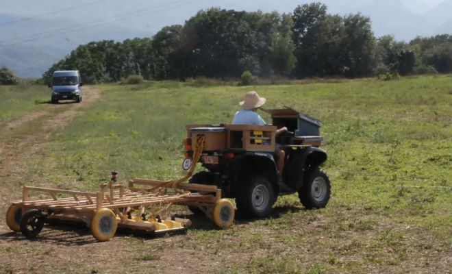 Геологи сканировали поле и случайно нашли под землей город, из которого люди ушли 1300 лет назад