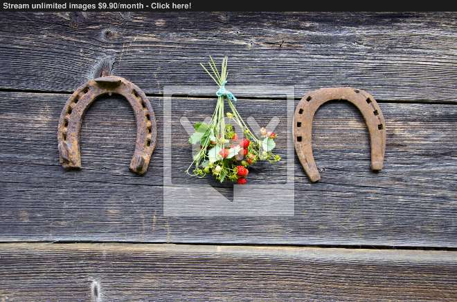 Обереги для дома и их значение (62 фото)