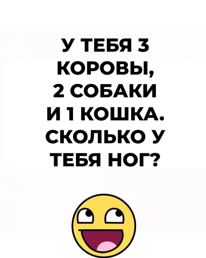 Только внимательные разгадают все 15 загадок