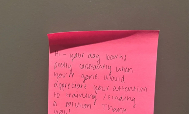 Женщина оставила щенка одного, но уже вечером получила странное послание на двери