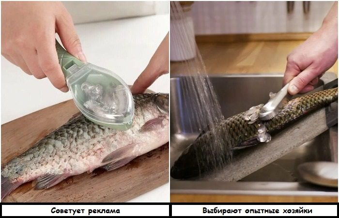 7 девайсов для кухни, где ожидания не совпали с реальностью