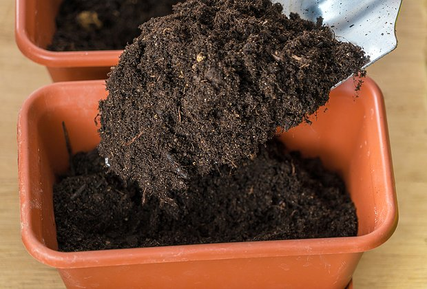 Огород на подоконнике: оборудование, выбор растений, уход. Какие культуры можно вырастить в домашних условиях