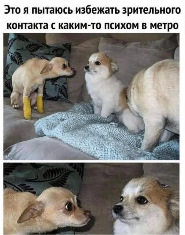 Интернет мемы в понедельник и ретроградный Меркурий