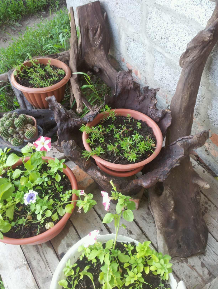 Идеи для сада: простые и оригинальные варианты (65 фото)