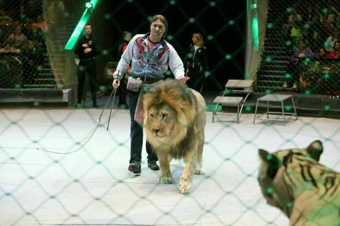 Зоопарки и цирки будут работать по-прежнему еще шесть лет