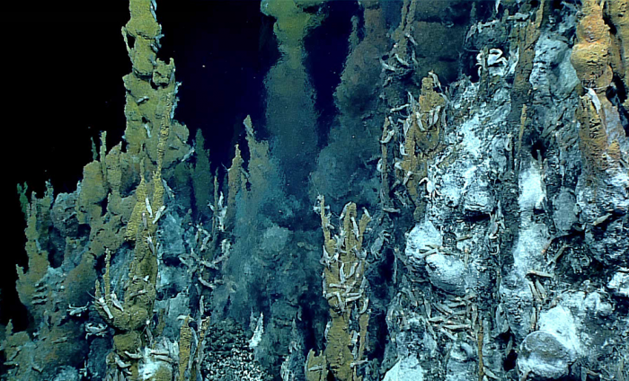 На дне Карибского форма нашли неизвестную форму жизни. Синее вещество собирается в большие шары когда замечает людей