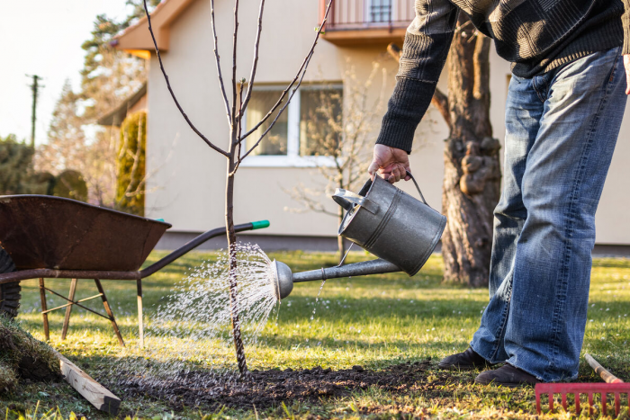 Депутат Чаплин посоветовал собирать на даче дождевую воду и установить летний душ