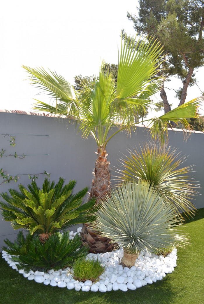 Неприхотливые декоративные кустарники в ландшафтном дизайне: фото и описания (56 фото)