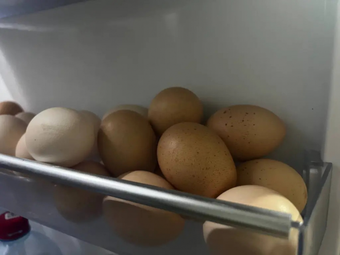 Яичная скорлупа на даче: 10 способов применения