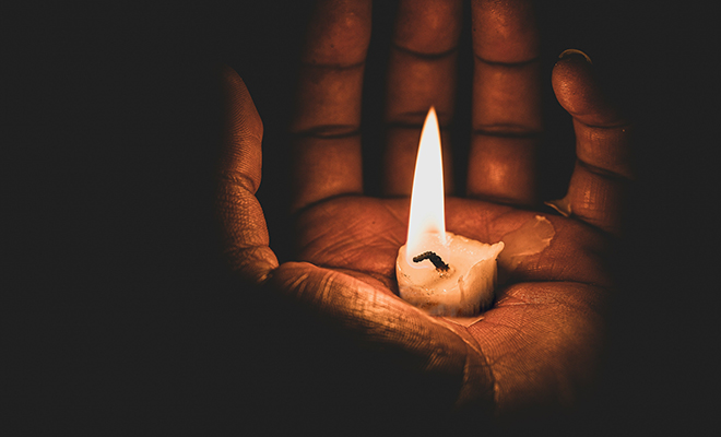 Ученые заявили об открытии биофотонов: свечение живых организмов исчезает в момент смерти