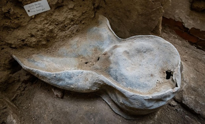 Под Нотр-Дамом обнаружили свинцовый саркофаг, который запечатали и спрятали под землю задолго до строительства собора