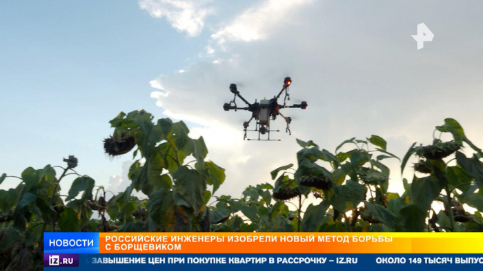 Российские инженеры изобрели новый способ борьбы с борщевиком