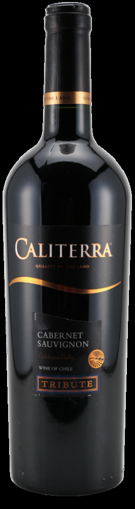 Чилийские вина